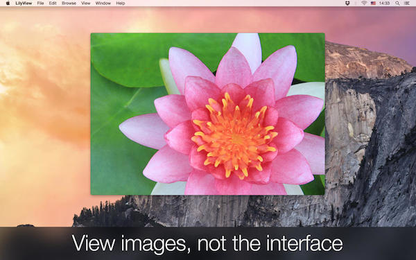 lilyview for mac