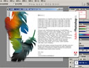 Adobe Photoshop CS 8.0 wİb(ע̖)